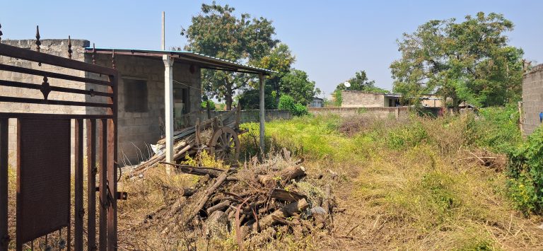 20251111_125057mlCxNDT